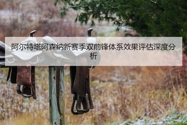 阿尔特塔阿森纳新赛季双前锋体系效果评估深度分析