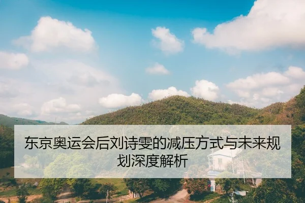 东京奥运会后刘诗雯的减压方式与未来规划深度解析